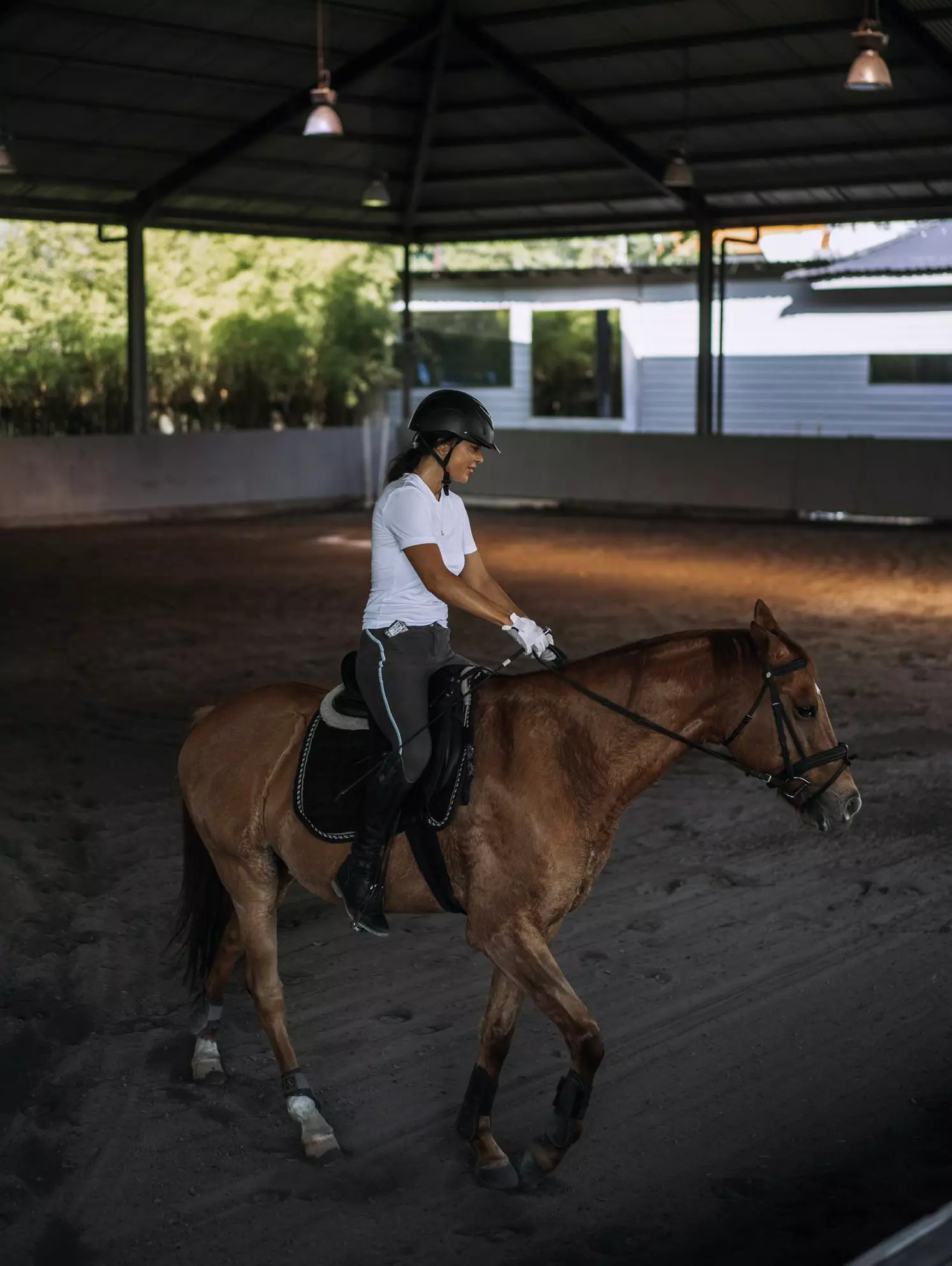 Horse training