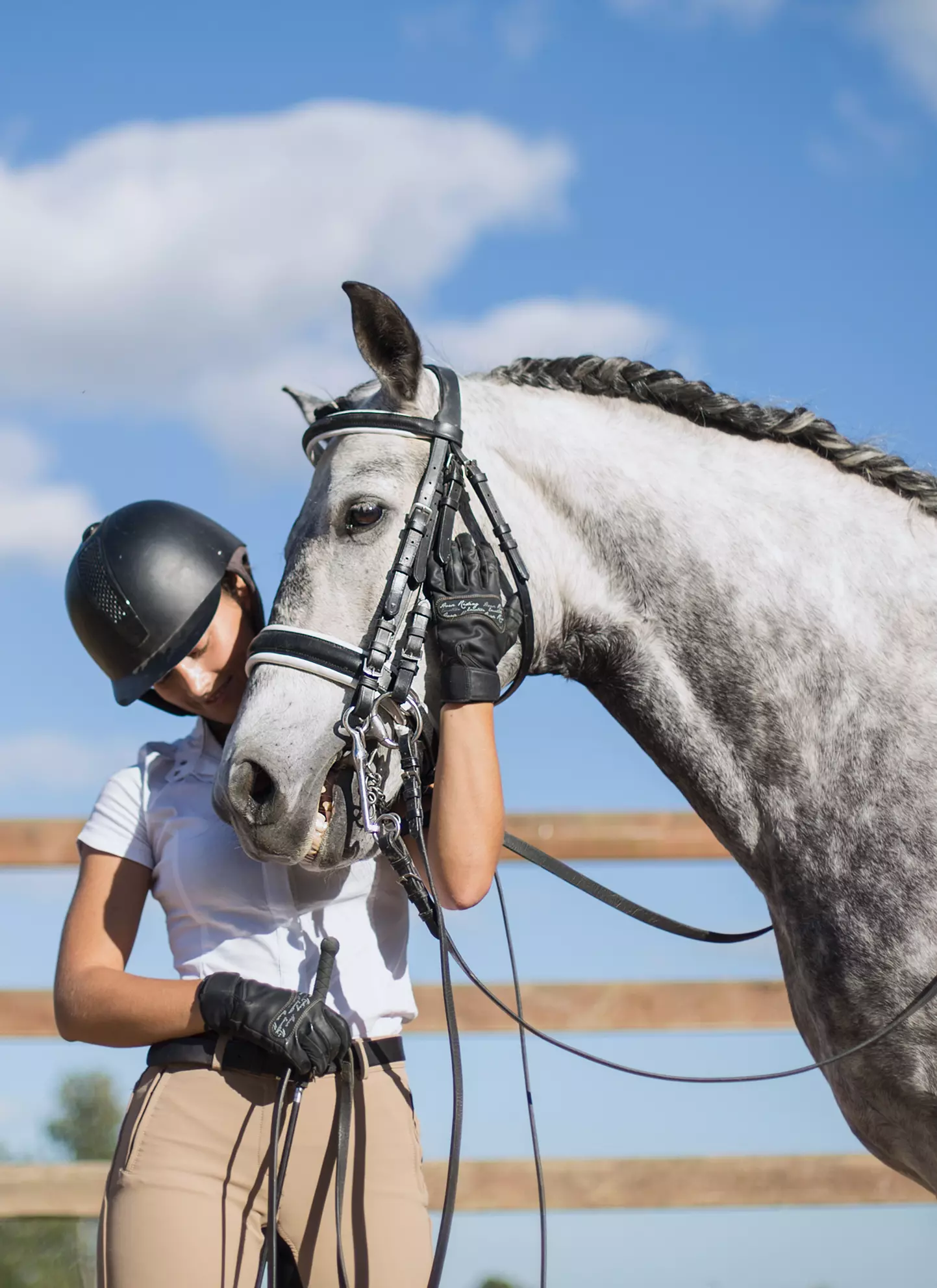 White Horse with trainer