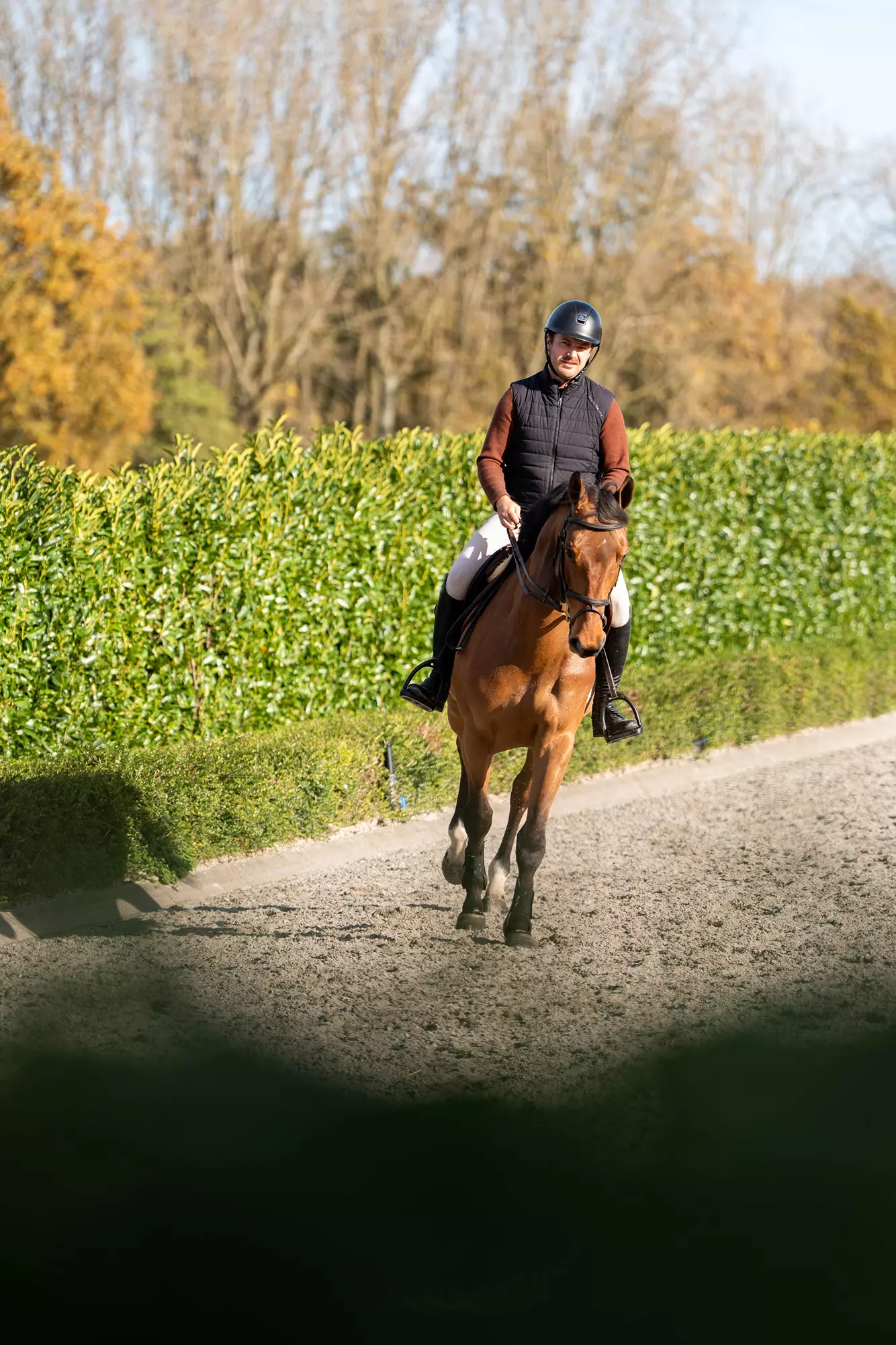 Rider riding a brown horse