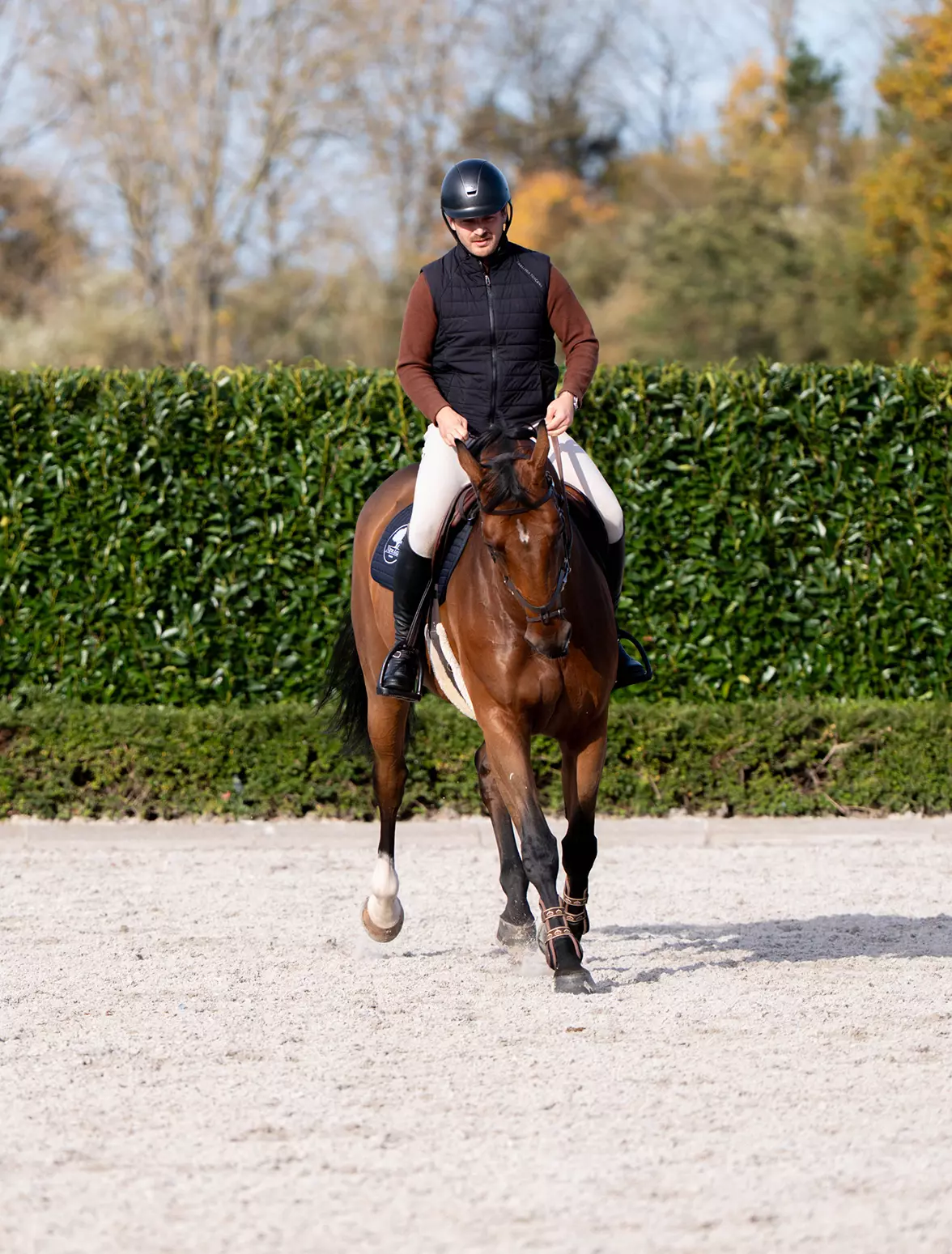 Rider riding a brown horse